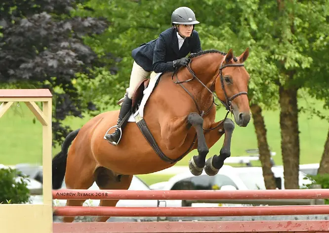 Getting Back On The Horse After Injury