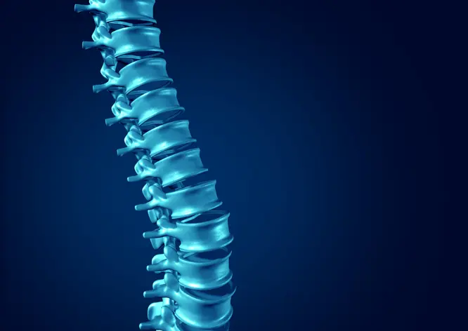 The Future of Minimally Invasive Spine Surgery